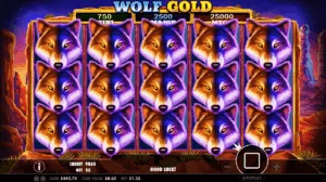 Infographic illustrating different 3x3 slot reel setups with Wild symbol